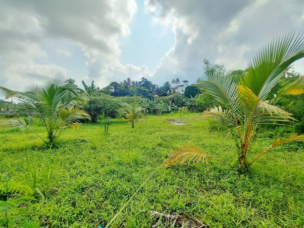 Land for Sale in Pannipitiya [LS 06]