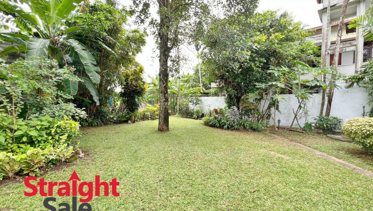 WhatsApp Image 2025-07-31 at 11.27.13