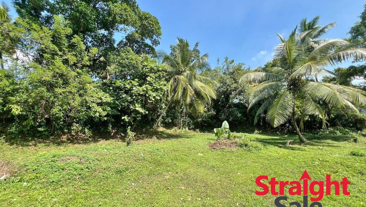 WhatsApp Image 2026-01-18 at 10.21.44 PM