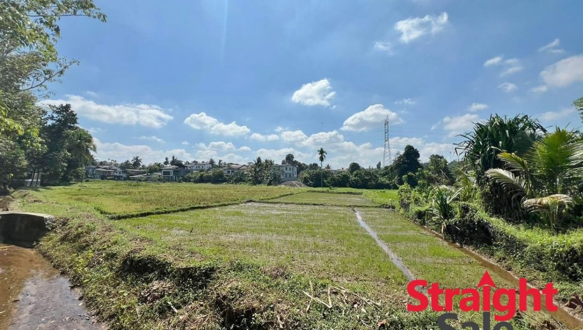 WhatsApp Image 2026-01-18 at 10.21.49 PM