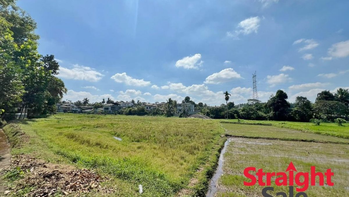 WhatsApp Image 2026-01-18 at 10.21.51 PM