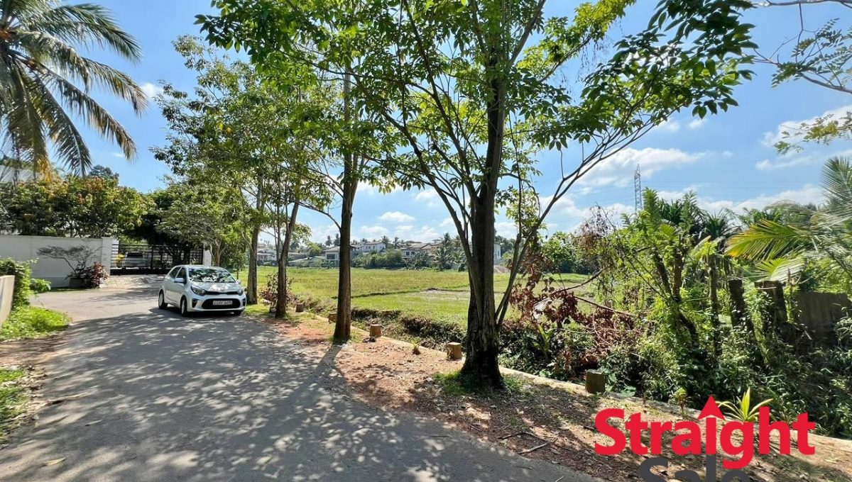 WhatsApp Image 2026-01-18 at 10.22.01 PM