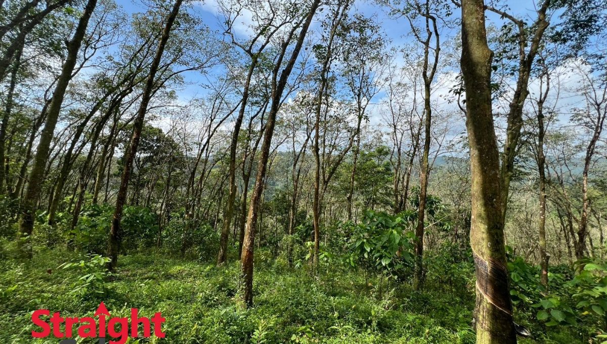 WhatsApp Image 2025-11-07 at 2.42.20 PM (1)