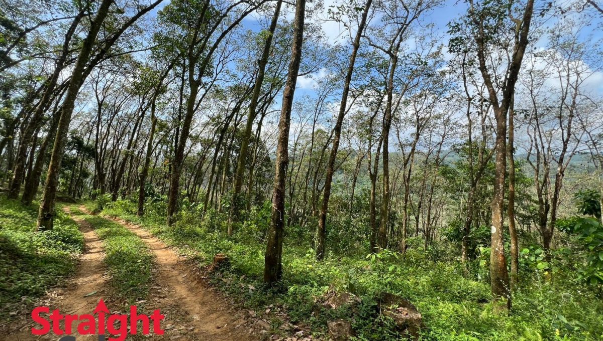 WhatsApp Image 2025-11-07 at 2.42.23 PM