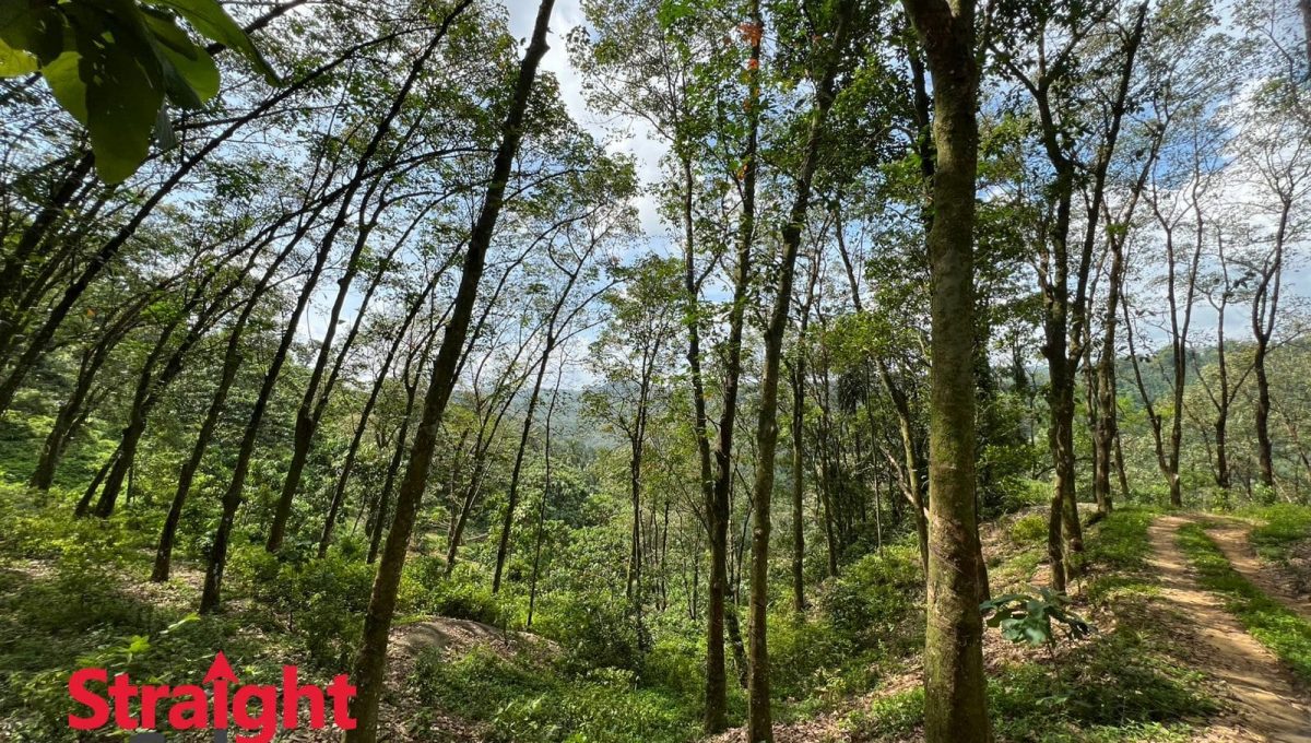 WhatsApp Image 2025-11-07 at 2.42.25 PM (1)