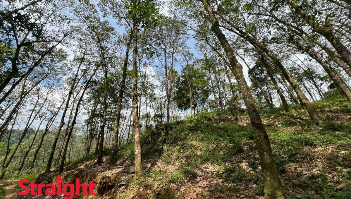 WhatsApp Image 2025-11-07 at 2.42.26 PM