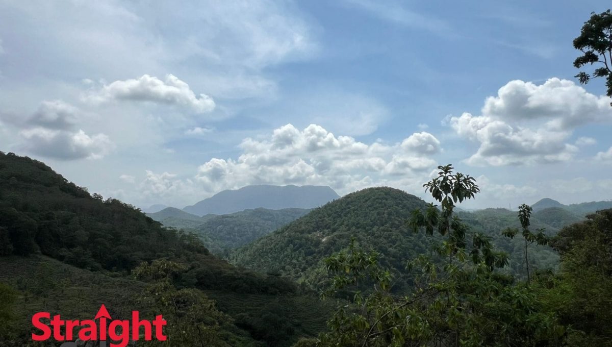 WhatsApp Image 2025-11-07 at 2.42.27 PM (1)