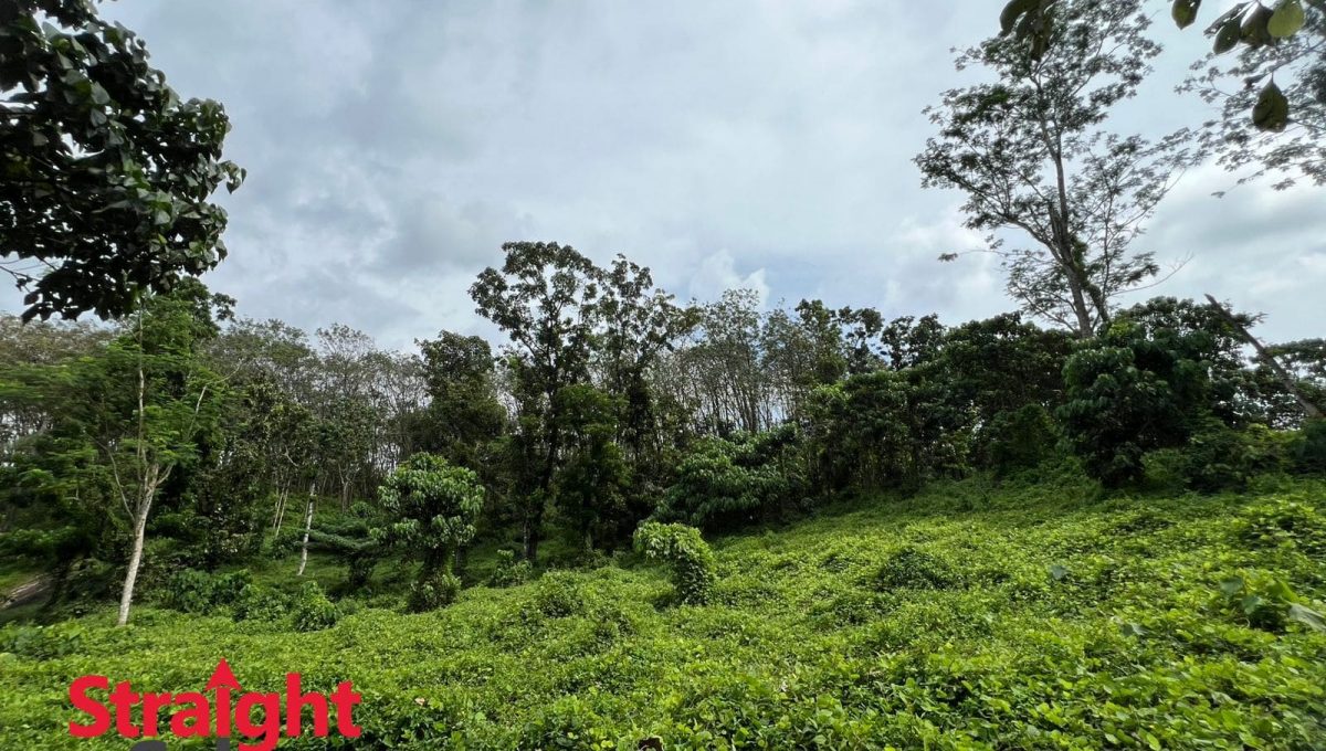 WhatsApp Image 2025-11-07 at 2.42.30 PM