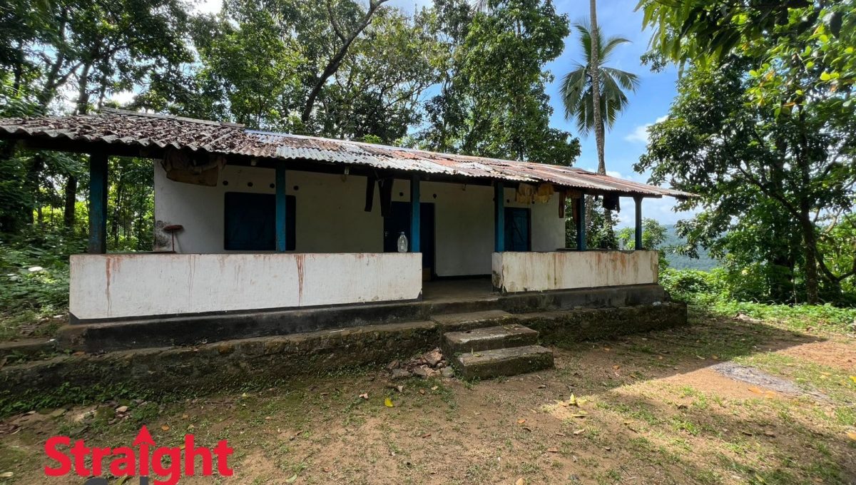 WhatsApp Image 2025-11-07 at 2.42.32 PM (1)