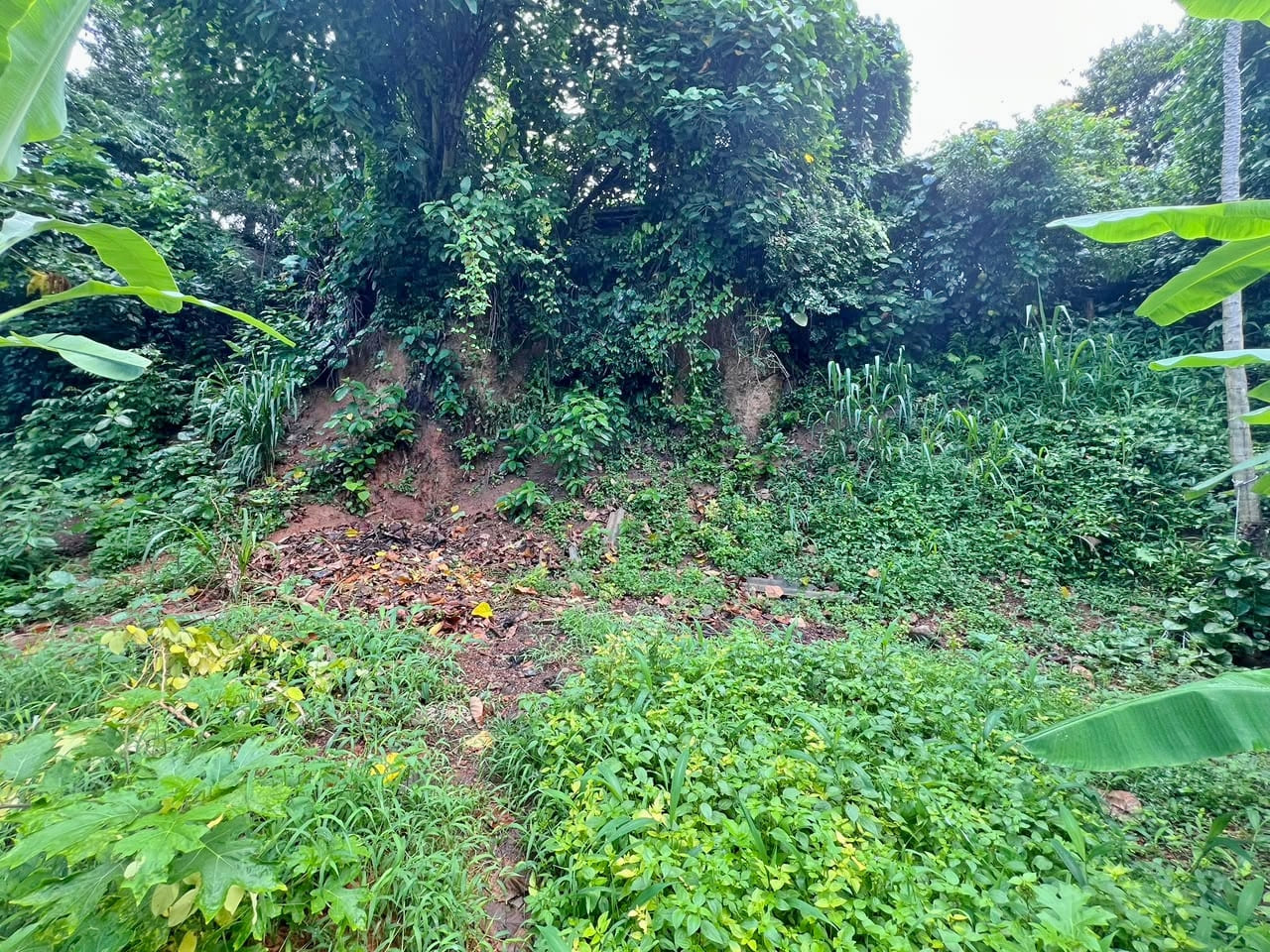 Land for Sale in Battaramulla [LS 10]